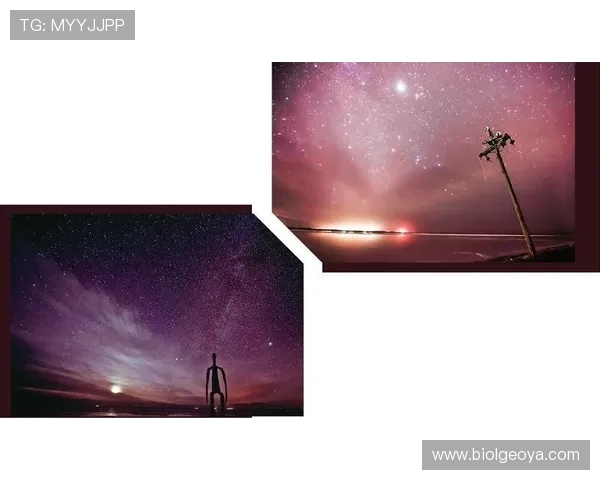 星空网页版入口的全面解读与使用指南，让你轻松畅游网络世界