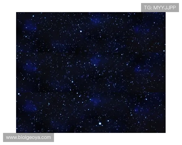 星空软件官网下载后的安装体验与功能推荐