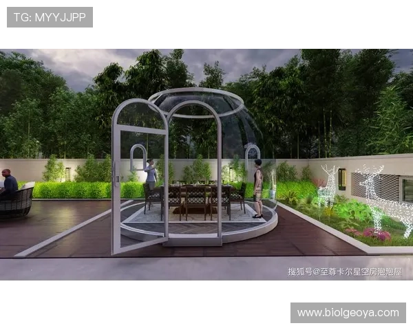 星空足球场的魅力，如何让足球运动焕发新的生机