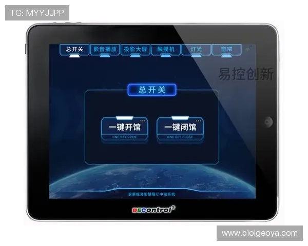 深度解析星空媒体官网的功能与用户反馈