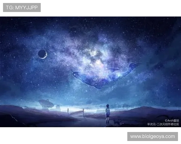 畅享星空网页版入口功能深度解析，玩转网络社区的新选择