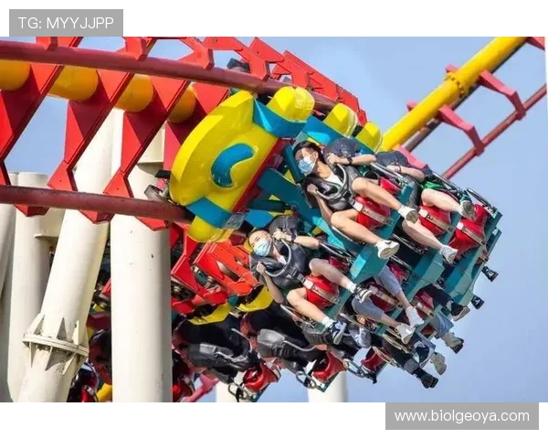 玩转星空娱乐的经典项目，带你领略不一样的欢乐时光