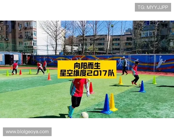 聚焦星空足球队的明星运动员与他们的奋斗故事