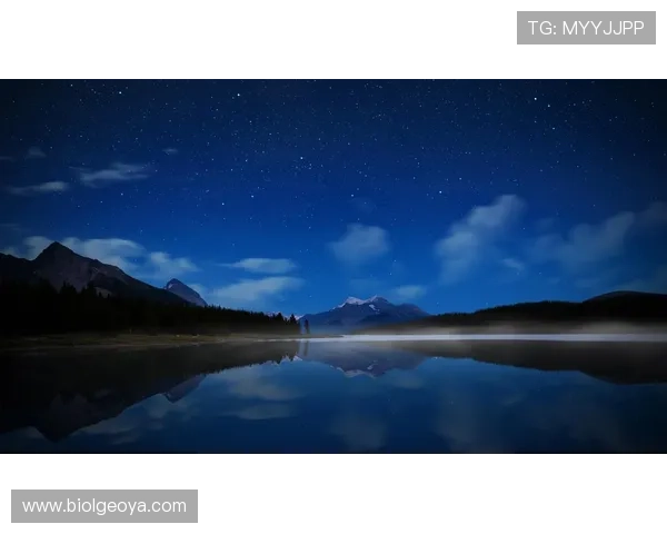 星空体育官网首页登录流程详解,助你轻松掌握登录操作步骤