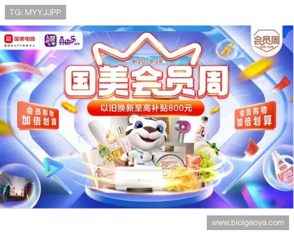 提升体验！半岛app官网操作习惯与功能特色分析