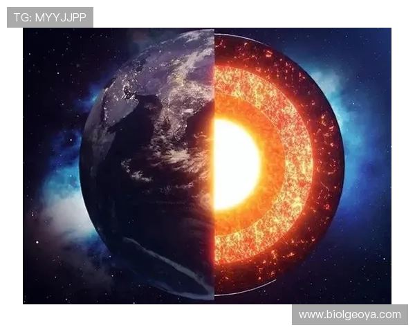 星空体育官方网站：用户指南与常见问题解答全方位解析