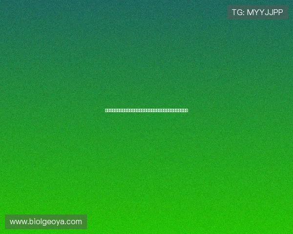 星空百家乐官网优惠活动：丰富多样的促销方案提升您的投注价值与获胜机会
