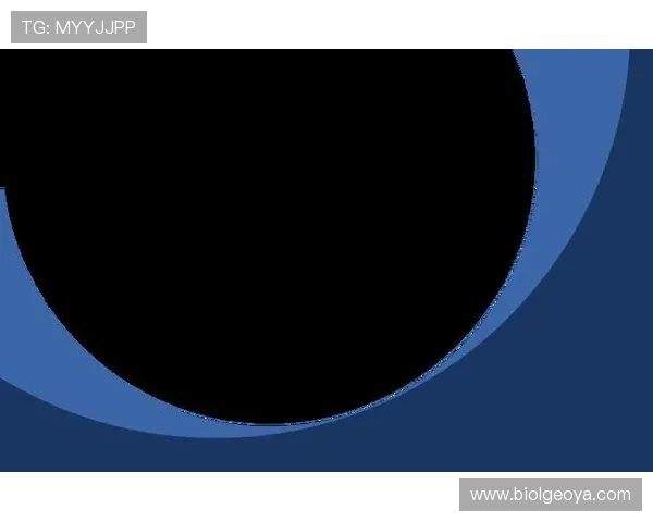 星空足球官网版登录入口操作流程解析：详细步骤教你轻松登录