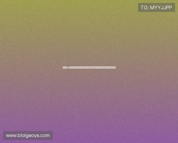 佛得角vs西班牙世界杯赛前发布会新闻汇总：双方主帅发表重要讲话及赛前动态