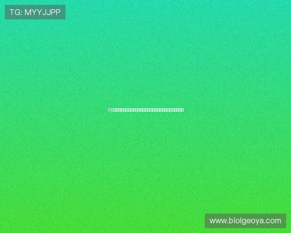 XK星空体育登录官方平台入口指南帮助用户便捷登录与使用体验提升