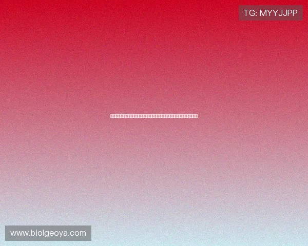 塞尔塔足球队获得星空体育平台的慷慨赞助，助力球队在国内外赛事中的表现