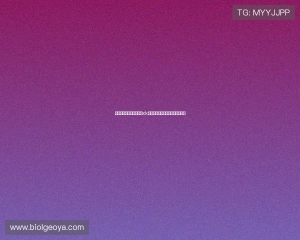 如何快速稳定地下载安装xk星空体育，逐步掌握使用技巧指南