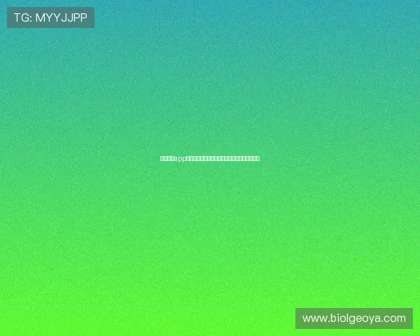 星空体育app官方入口登录遇到问题怎么办详细解决方案推荐