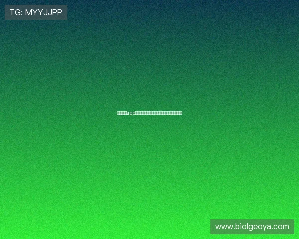 星空体育app平台安全稳定保障用户数据隐私与账号安全